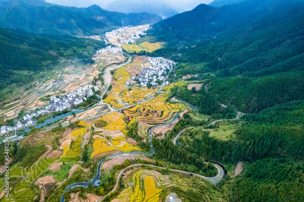 江西婺源江陵秋季梯田景观