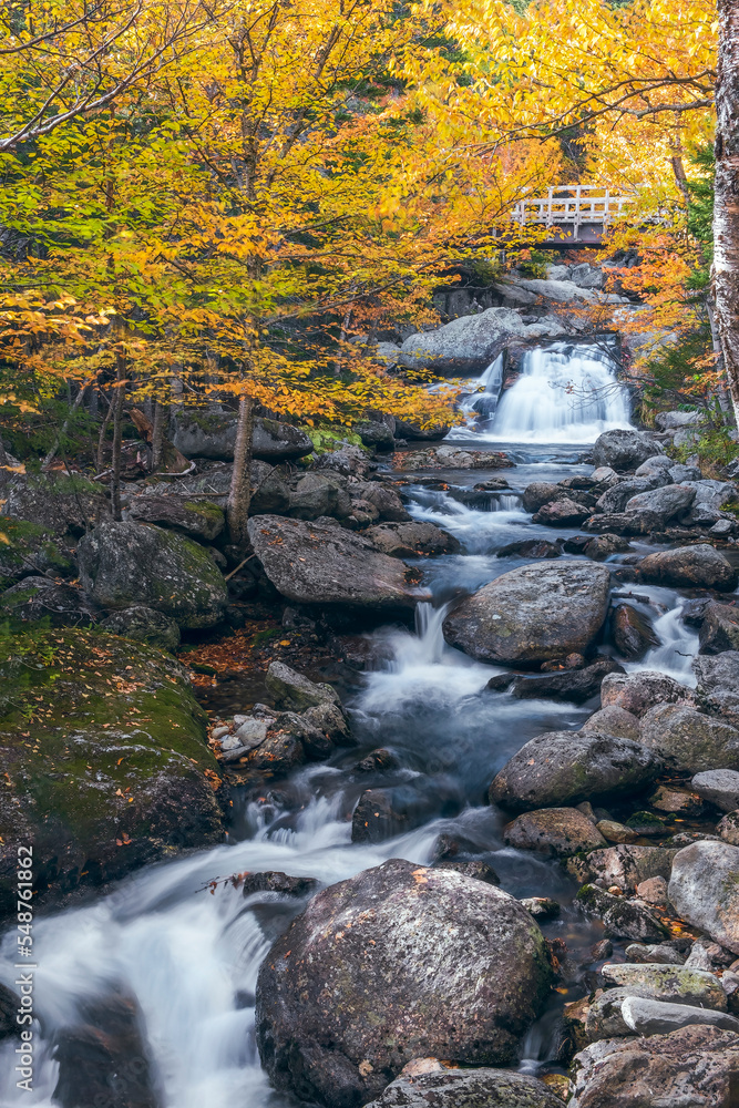 Small cascades on the Ellis River in autumn.Jackson.New Hampshire.USA