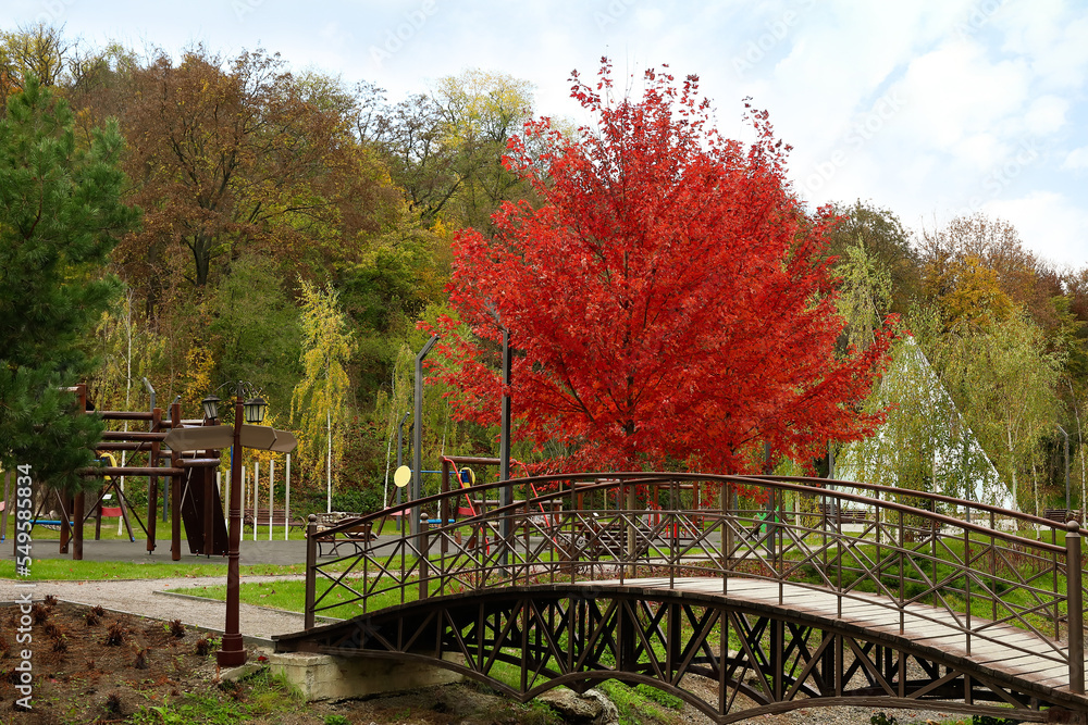 View of autumn park with bridge and trees