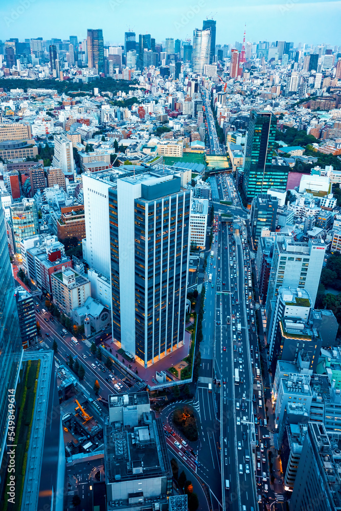 日本涩谷鸟瞰图，背景为新宿天际线