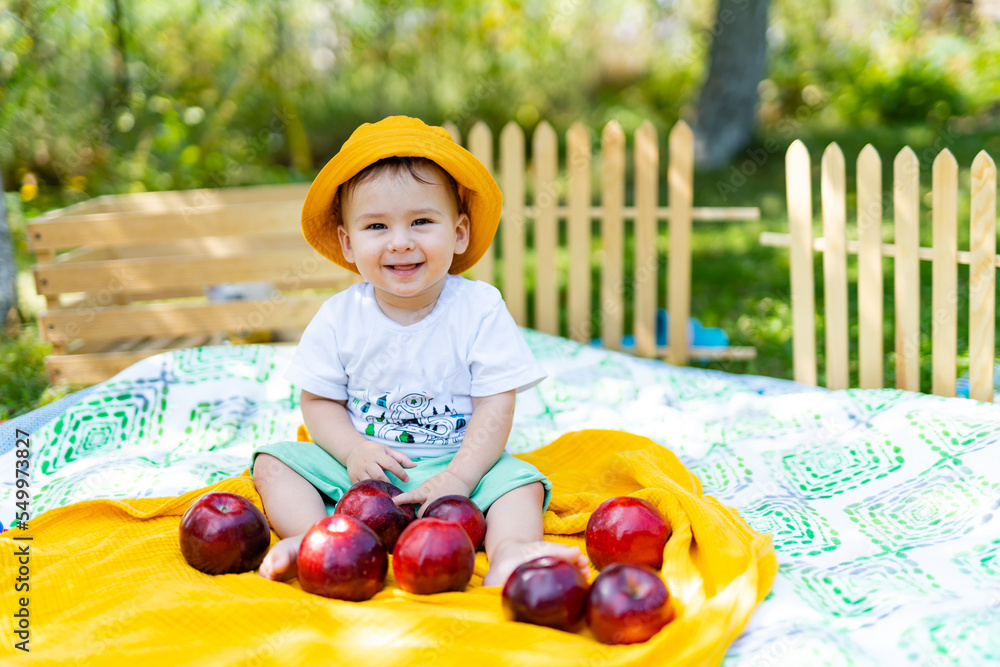 Adorable baby boy eating apple playing on colorful blanket in green grass. Kid with apples. Baby boy