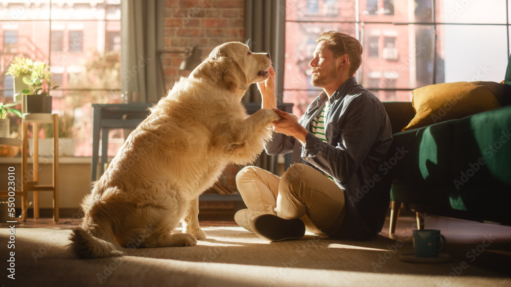 Happy Handsome Young Man Offers His Gorgeous Golden Retriever a Treat in Exchange for a Trick or Com