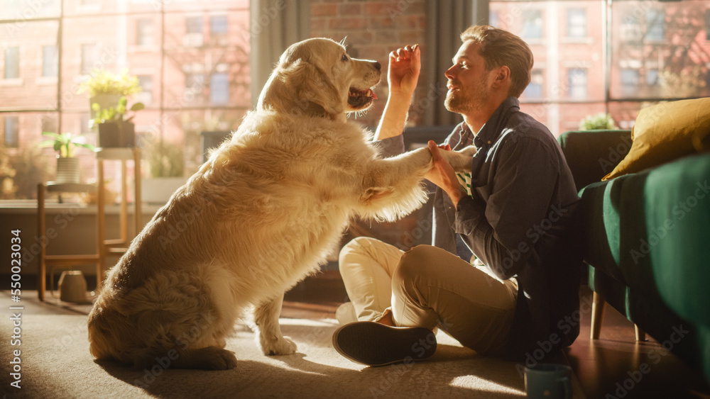 Happy Handsome Young Man Play with His Dog at Home, Gorgeous Golden Retriever. Attractive Man Sittin