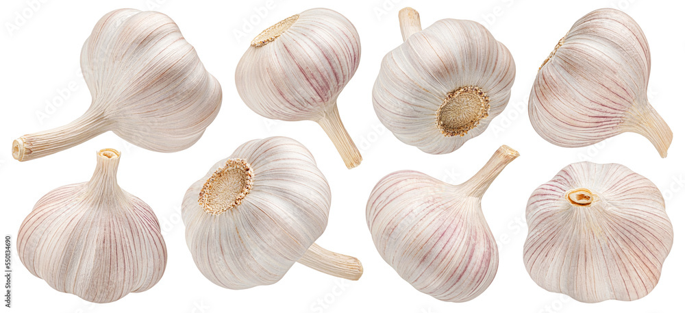 Garlic isolated on white background, collection