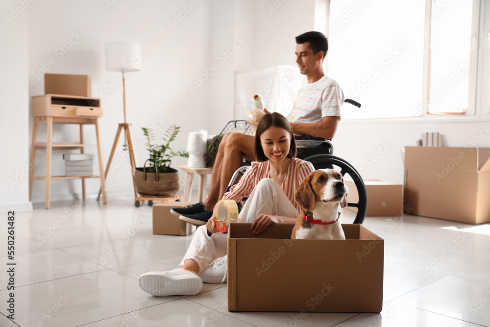 Young woman with her husband in wheelchair and dog packing things in room on moving day