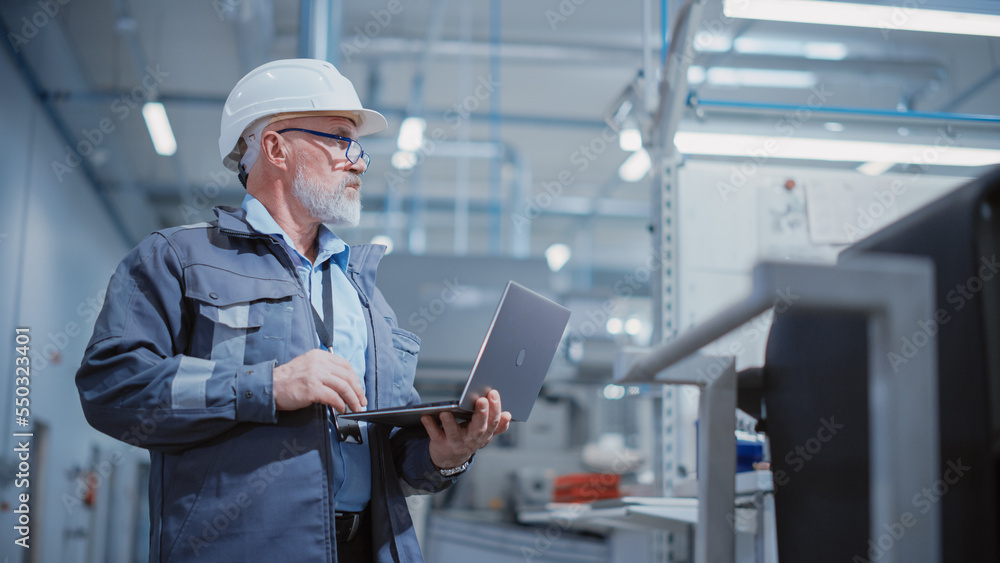 Portrait of a Bearded Middle Aged General Manager Standing in a Factory Facility, Wearing a Work Sui