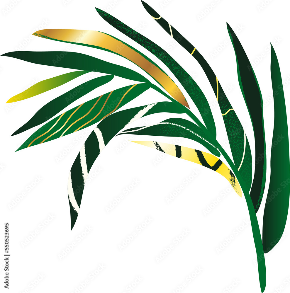 Tropical leaves