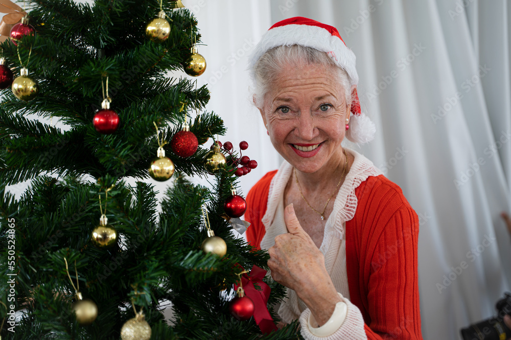 old woman celebrating christmas,Putting ornaments on Christmas tree.