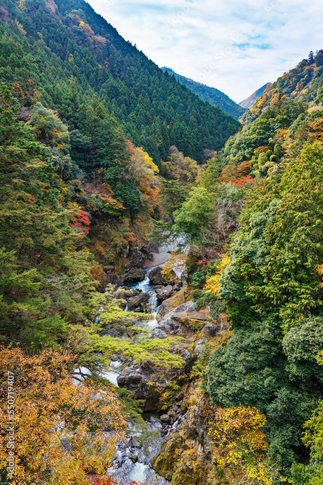 東京、奥多摩の綺麗な紅葉の景色