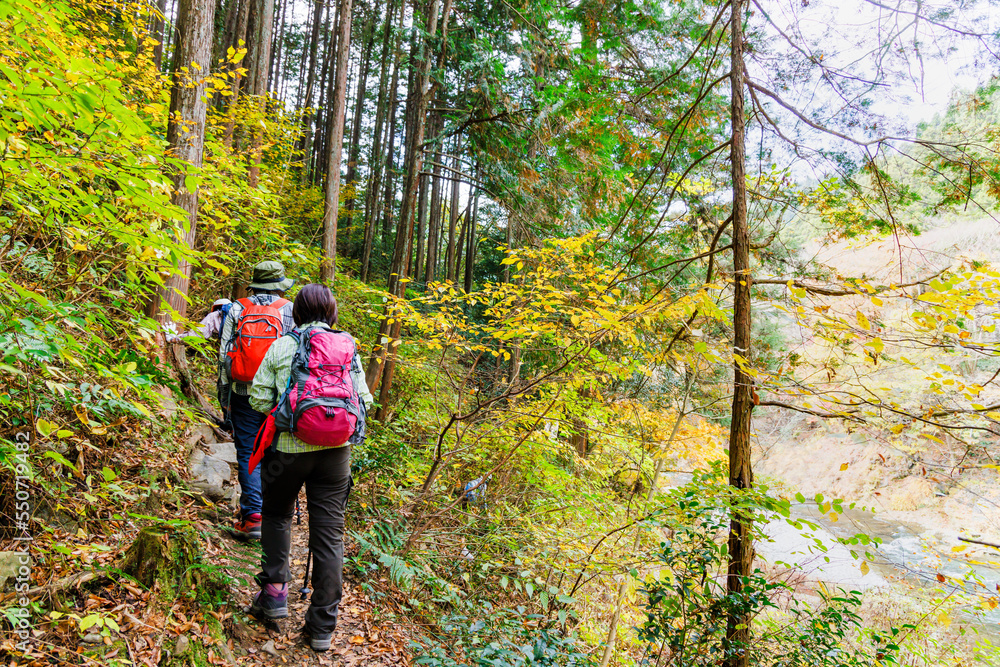 紅葉した登山道を歩く女性の登山者