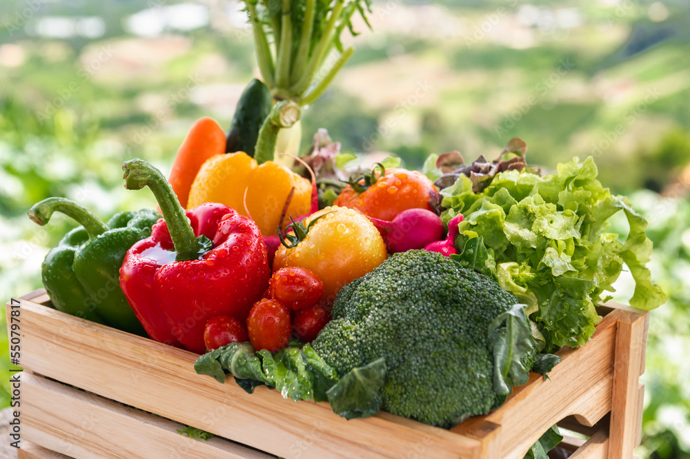 Wooden crate filled with fresh organic vegetables .