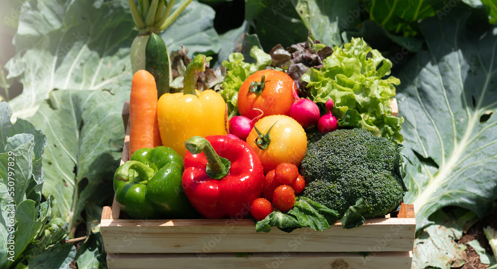 Wooden crate filled with fresh organic vegetables .