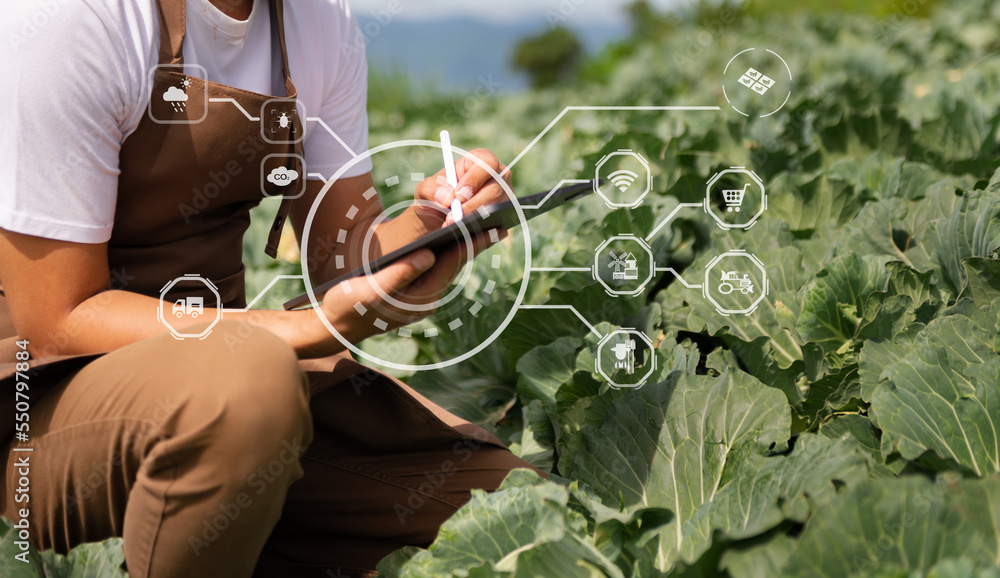 Agriculture technology farmer woman holding tablet or tablet technology to research about agricultur