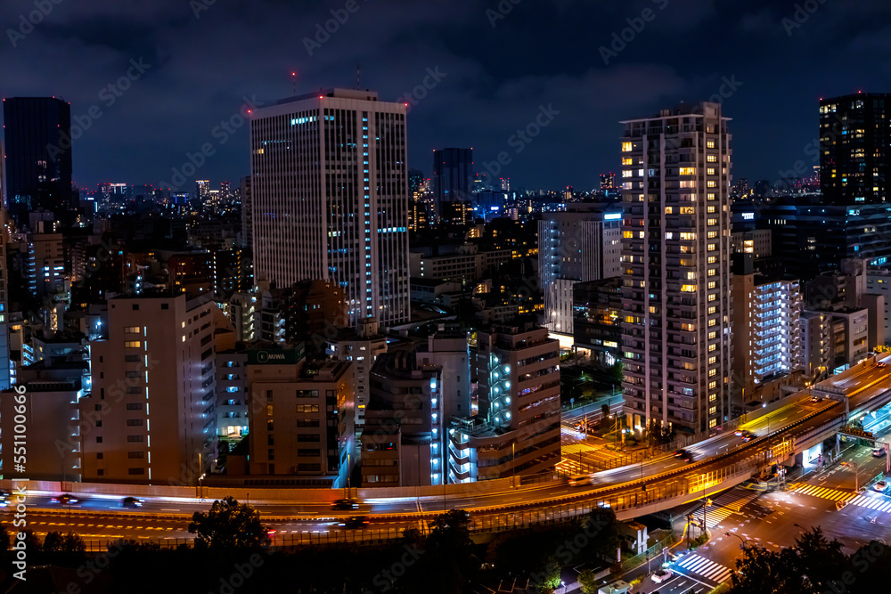 Skyscrapers and highways through Minato, Tokyo, Japan