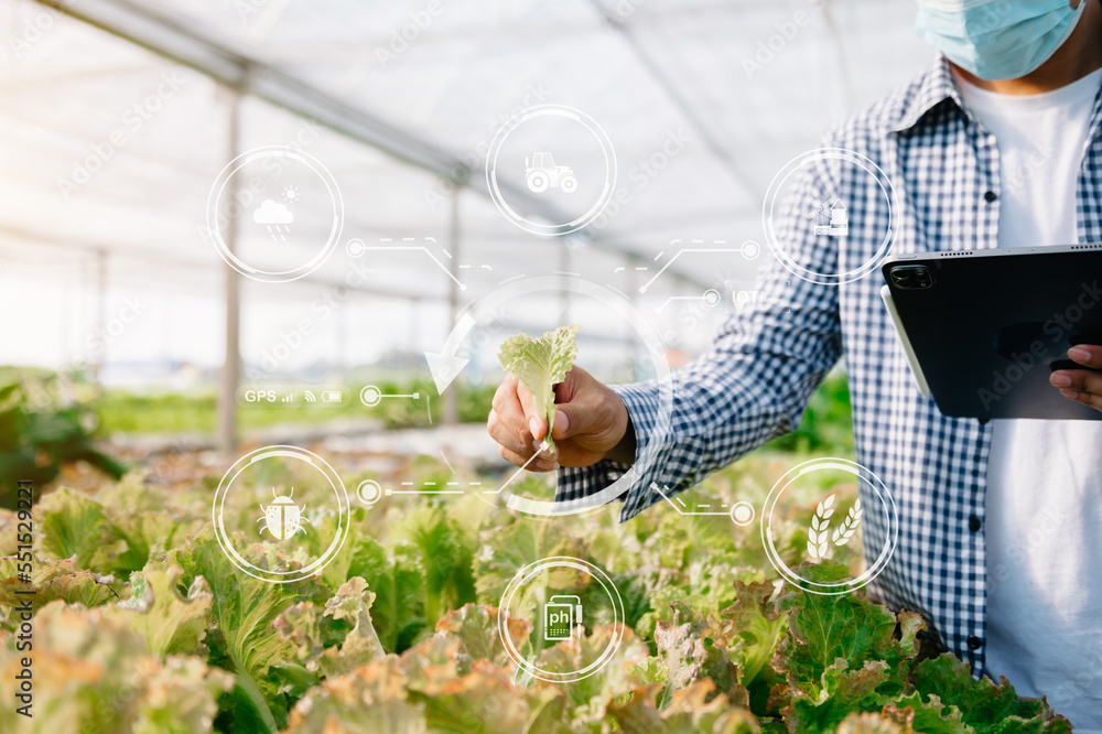 男子在农场里用绿色背景下的生长过程和化学配方种植生菜。W