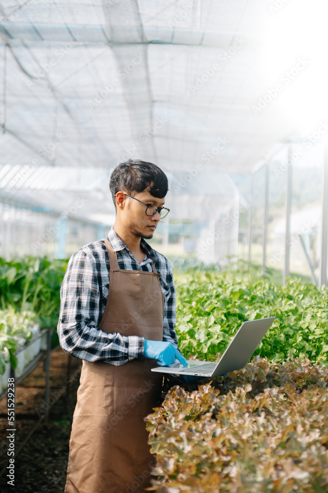 Farmer man using hand holding laptop and organic vegetables hydroponic in greenhouse plantation. Fem