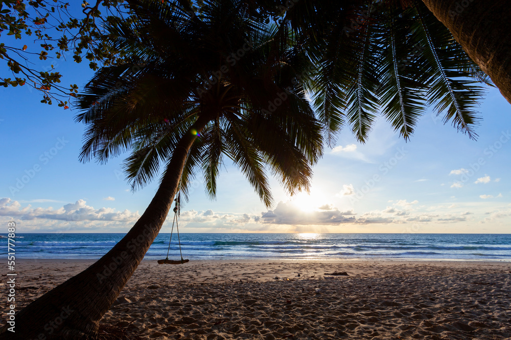 Silhouette coconut palm trees at sunset or sunrise sky over sea Amazing light nature colorful landsc