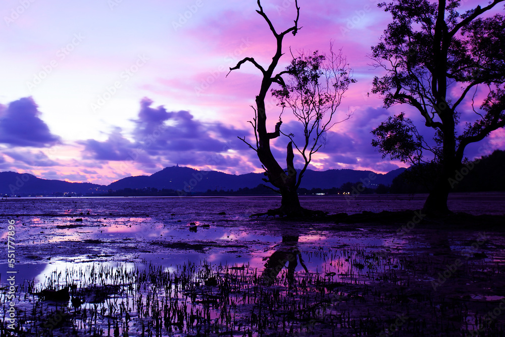 Amazing light sunset colorful clouds sky with dead trees in the tropical sea sunset or sunrise eveni