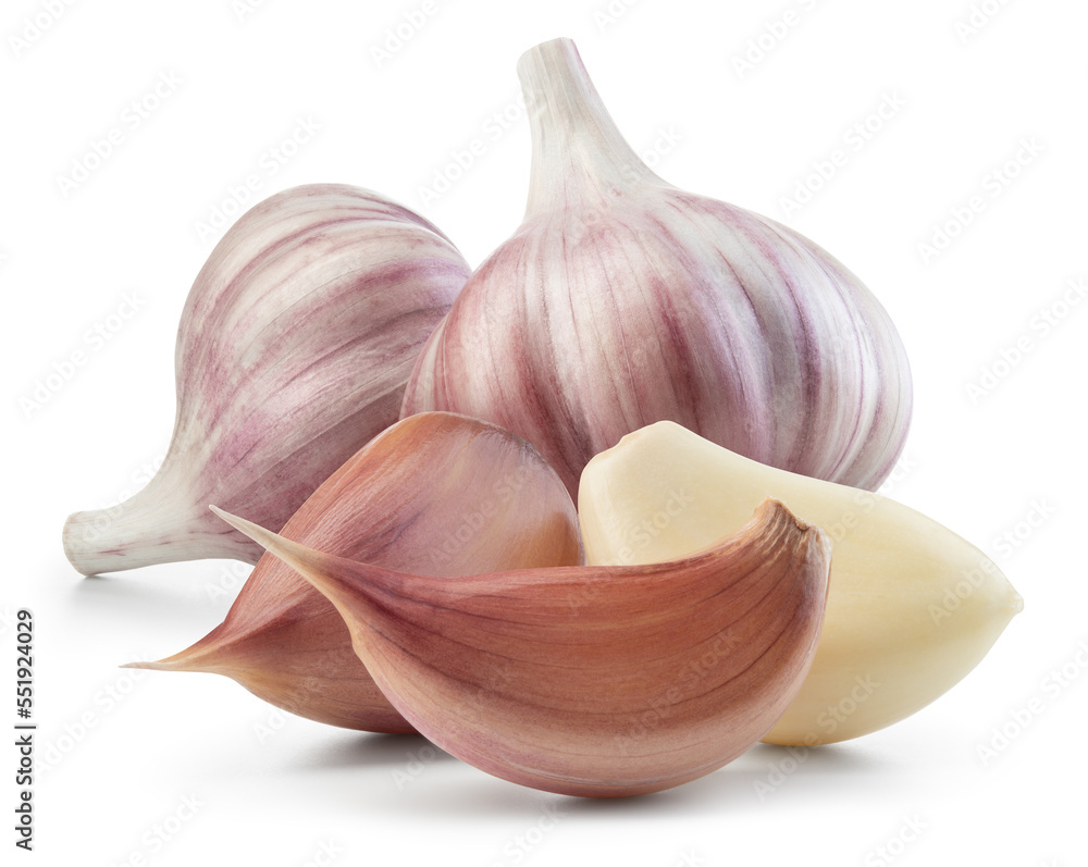 Garlic bulb and clove isolated. Garlic bulbs with cloves on white background. Garlic bulb compositio