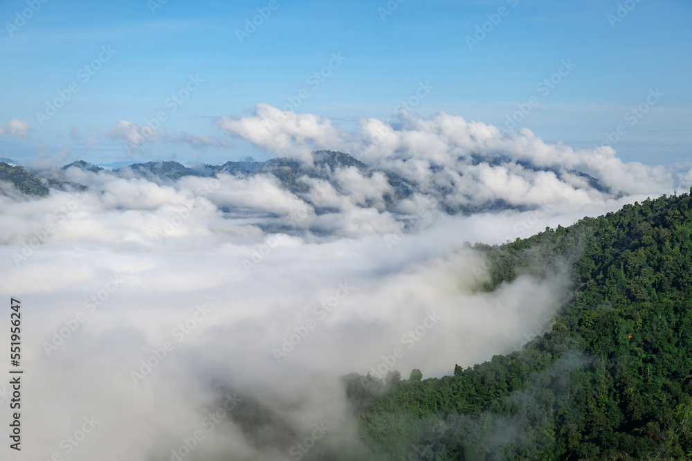 景观和天空背景