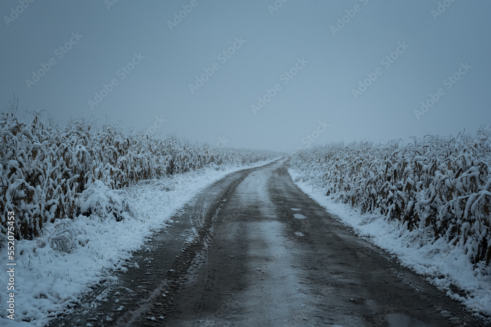 冬季玉米地上的雪地路。农业乡村景观。电影摄影