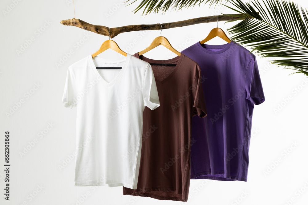 Coloured tshirts displayed on branch and copy space on white background