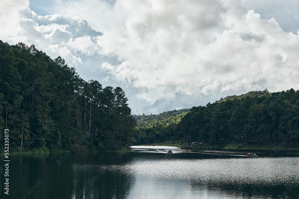 pine forest in Mae Hong Son , Thailand .