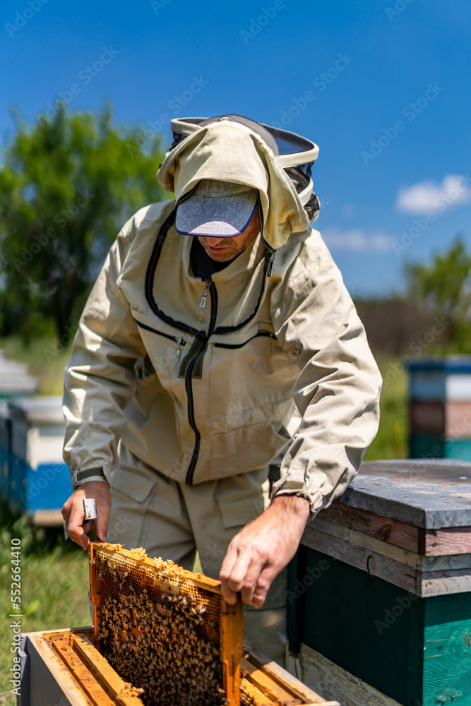 Man in protective beekeeping suit. Young beekeeper in suit working in apiary.