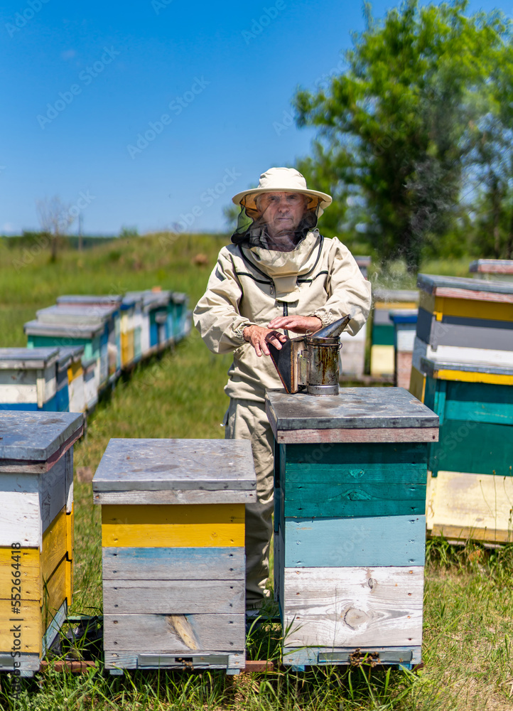 穿着西装在养蜂场工作的年轻养蜂人。穿着防护养蜂服的人。