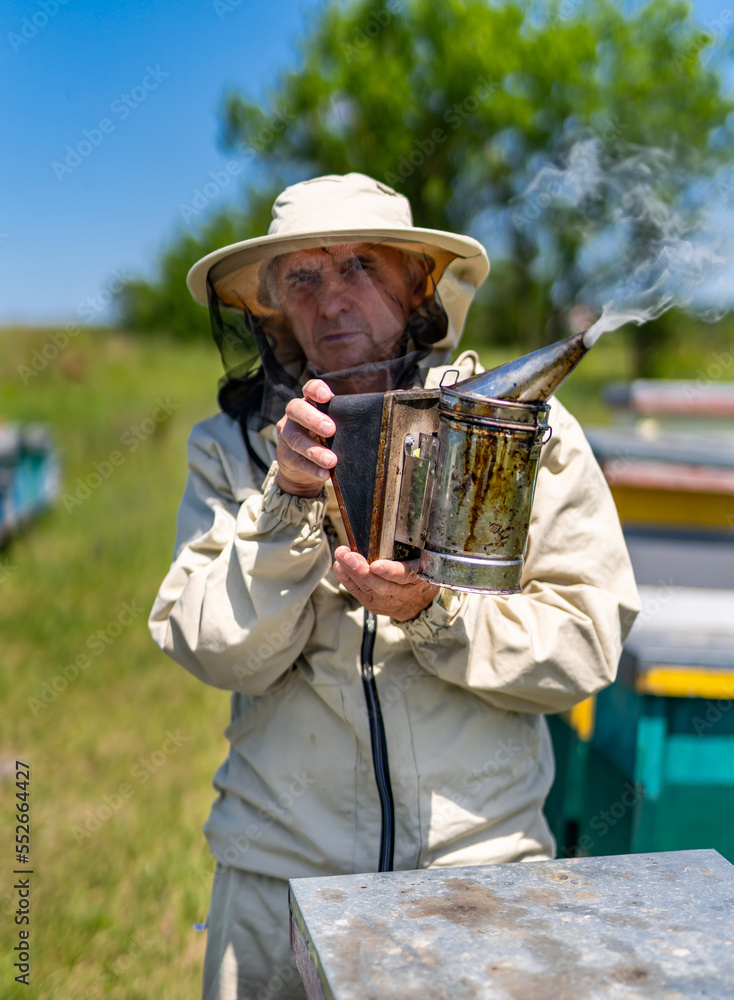 Honey farming in protective suit. Beekeeping professional man working in apiary.