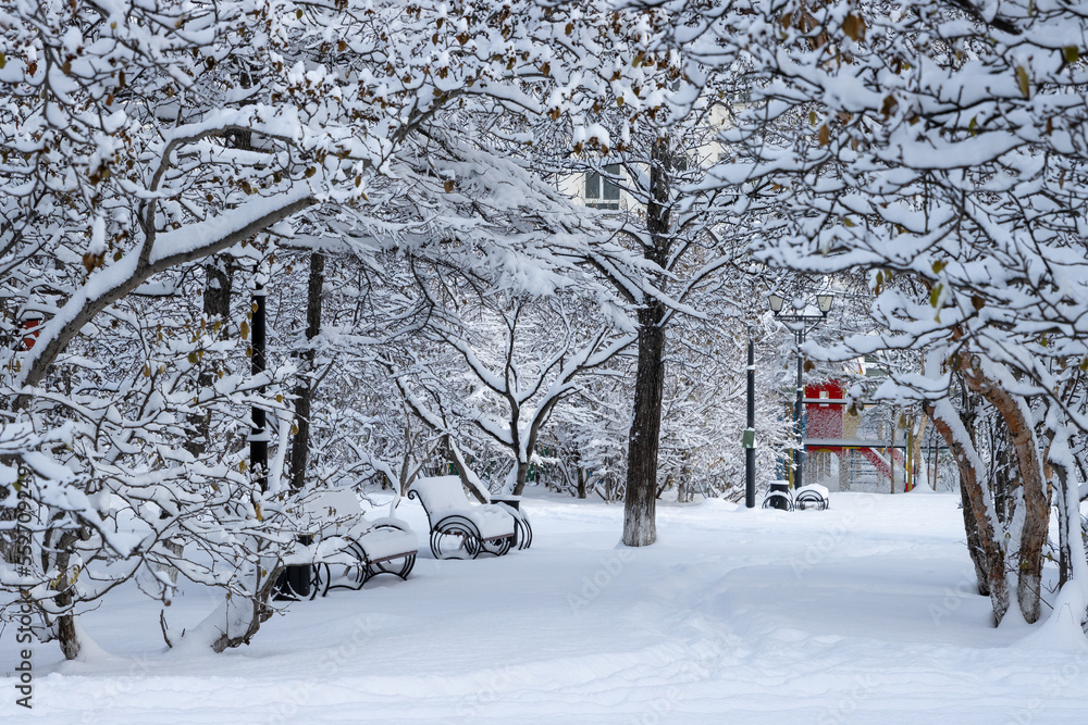 雪后的城市公园被雪覆盖。美丽的冬季景观。雪覆盖的地面，pa