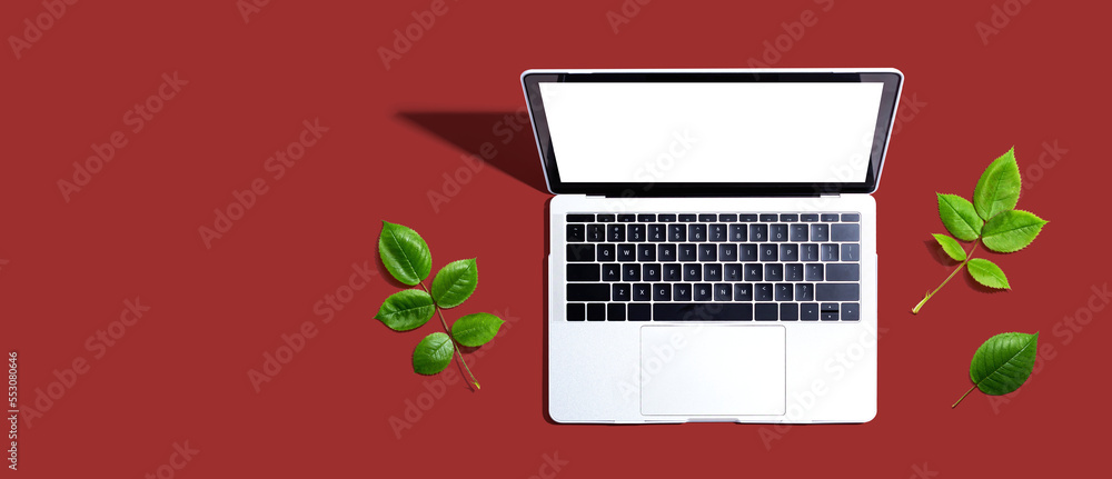 Laptop computer with green leaves - flat lay