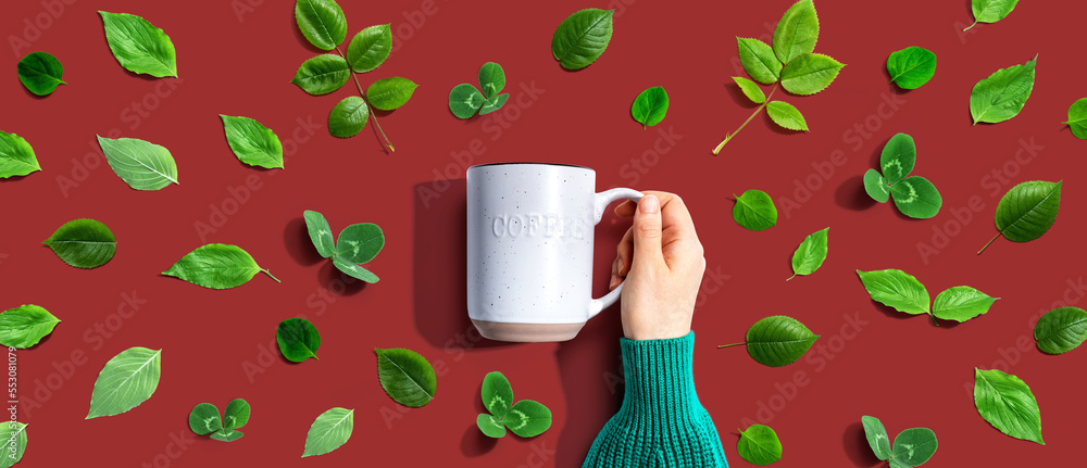 Person holding a mug with green leaves - flat lay