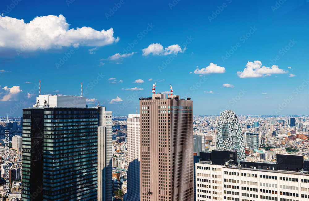 摩天大楼耸立在日本东京西新宿的城市景观之上