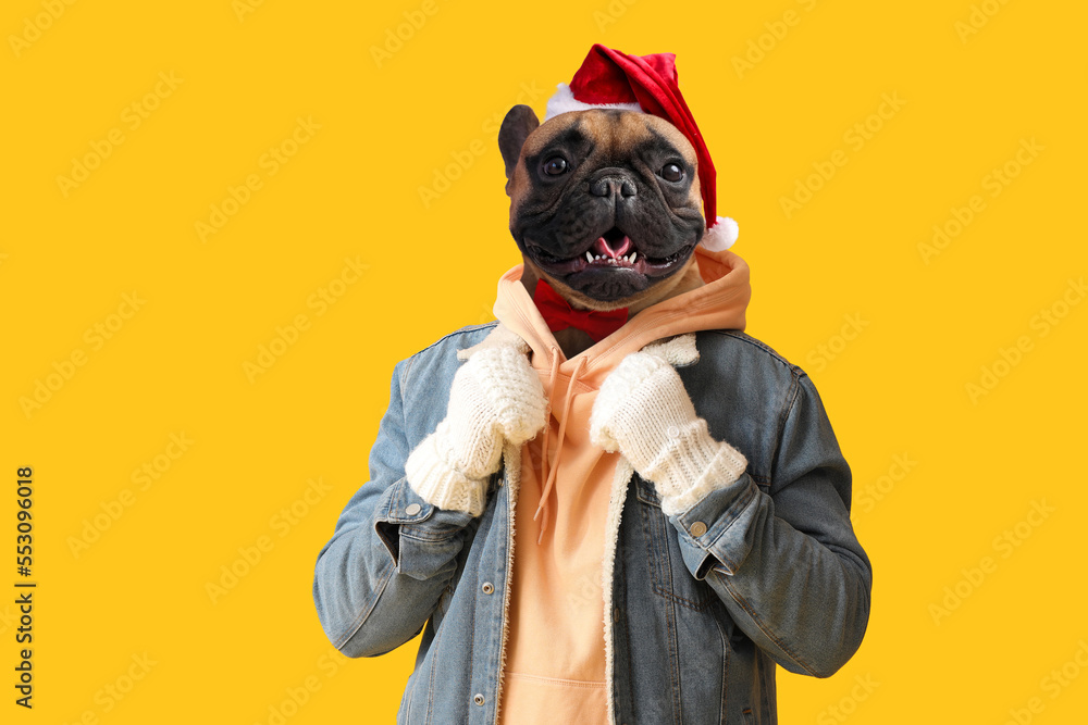 Man with head of dog wearing Santa hat on yellow background