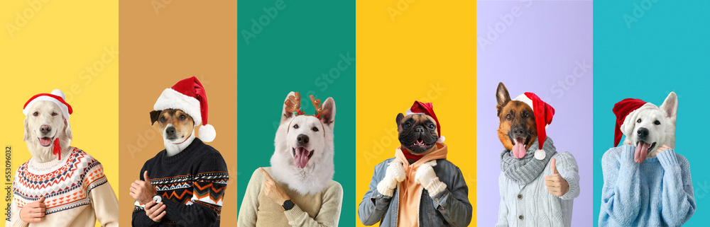 Many people with heads of dogs wearing Christmas sweaters and Santa hats on colorful background