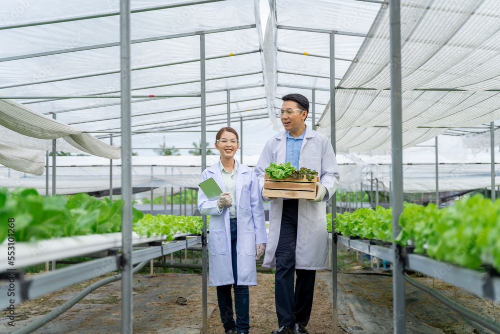 亚洲科学家正在水培种植系统中测试蔬菜的生长。