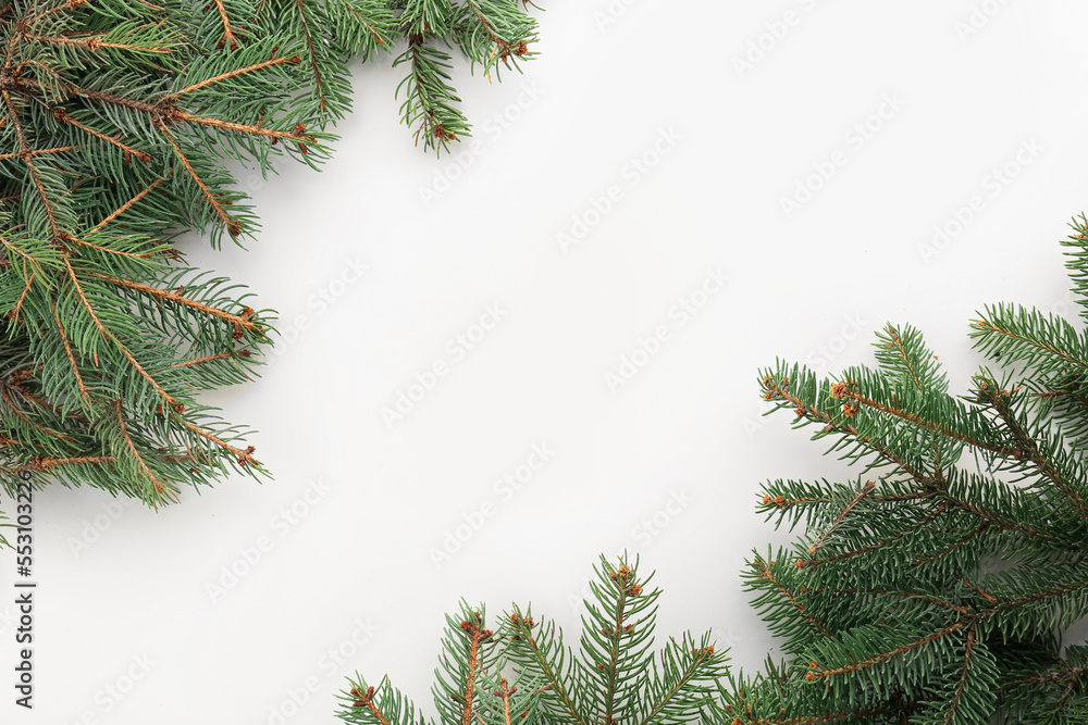 Frame made of green fir branches on white background