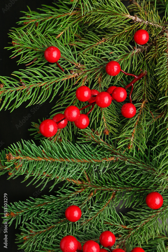 Christmas branches with cranberry on black background