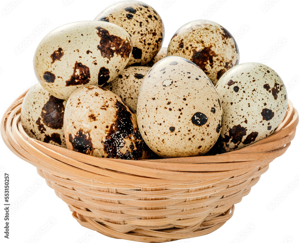 Raw quail eggs in basket isolated. Quail eggs on white background. Healthy diet.