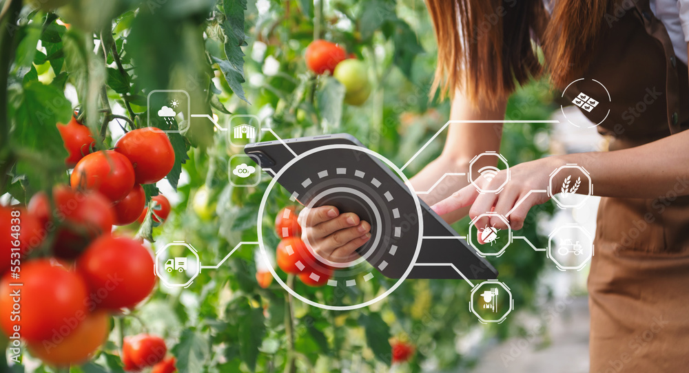 Smart farmer using application by tablet concepts modern vegetables and tomato at greenhouse. and vi