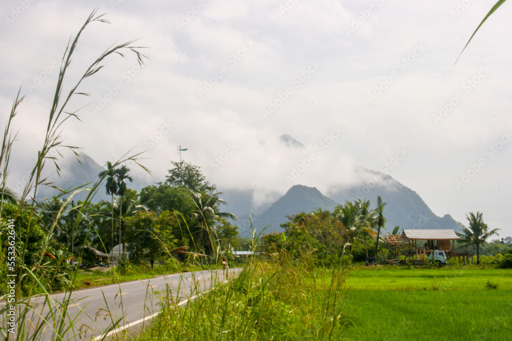 Scenery and morning fog in southern Thailand