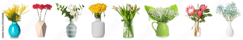 Collection of aromatic fresh flowers in stylish vases on white background