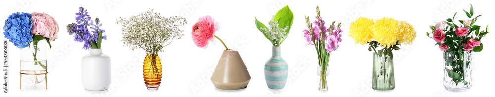 Group of beautiful fresh flowers in stylish vases on white background