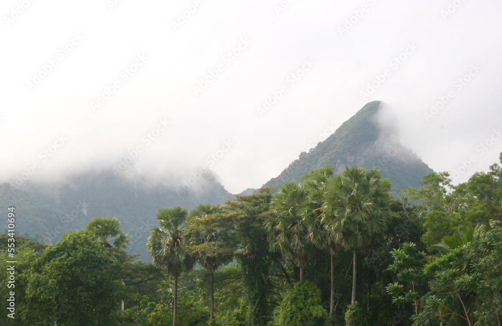 Scenery and morning fog in southern Thailand