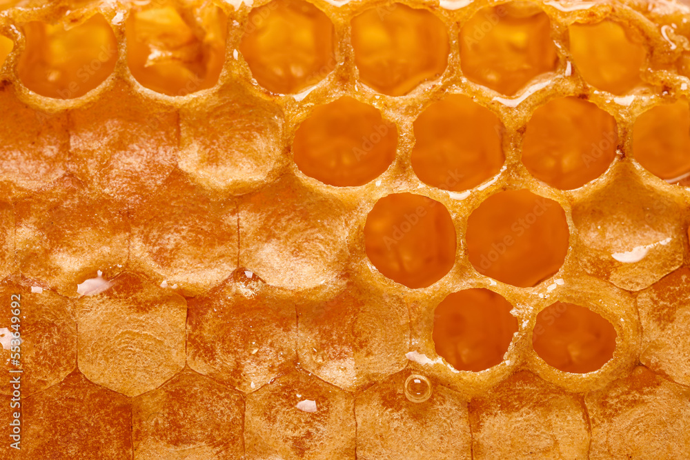 Honey combs as background, closeup