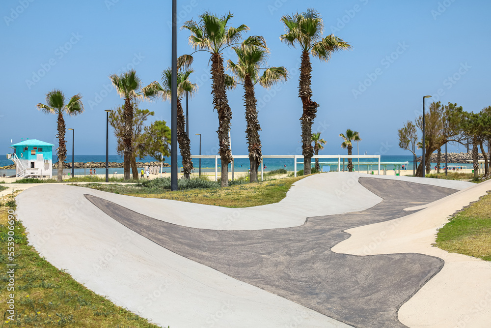 View of beautiful skate park and palm trees on sunny day