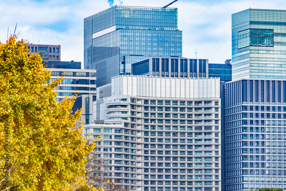 東京のビル群と鮮やかに紅葉した銀杏