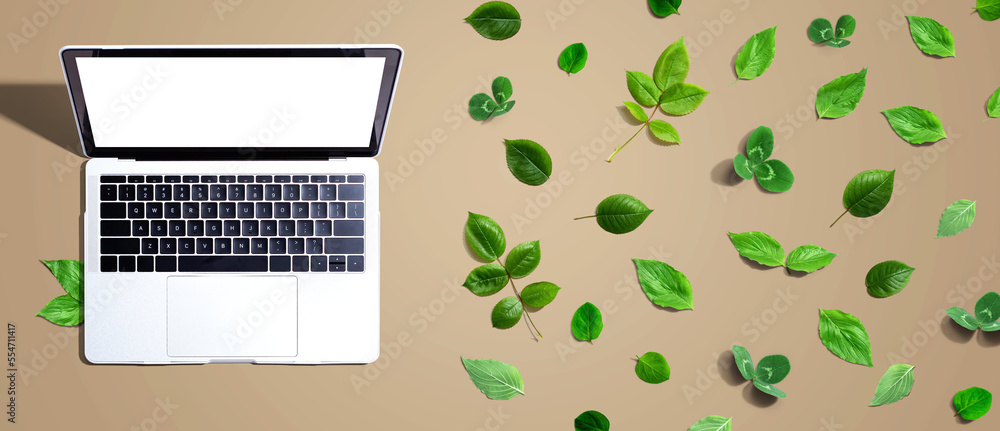 Laptop computer with green leaves - flat lay