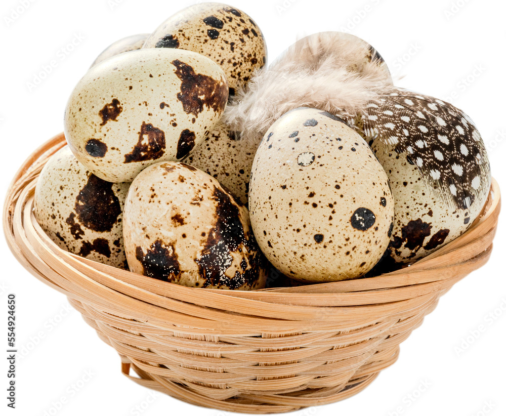 Raw quail eggs with quail feather in basket isolated. Quail eggs on white background. Healthy diet.